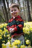 2009 Daffodils 15