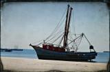 Shipwrecked