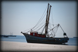 Shipwrecked