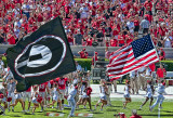 Flag Running 3 (Lucis)