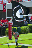 Hairy Dawg Waving The Flag
