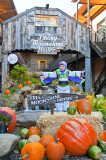 Buzz Gets Buzzed In Tennessee 1