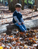 In The Woods 12