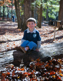 In The Woods 15