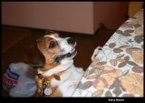 IMG_1183.JPG