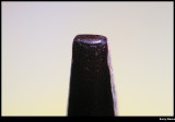PFAF = Prong From A Fork