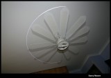 Ceiling fan in motion - Jan 31