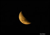 Quarter Moon IMG_6455.JPG