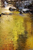 The Yellow Stream