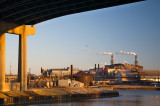 IMG_6012web.jpg