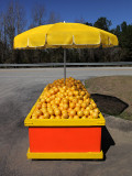 Florida Citrus Stand