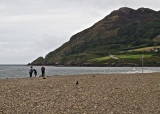 Bray Head