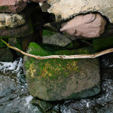 Rock, Stick, Moss and Water