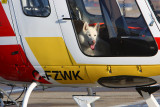 Helicopters......not just for people!