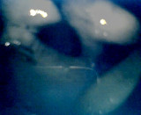 105.jpg