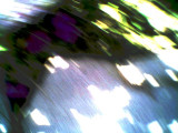 Photo025.jpg