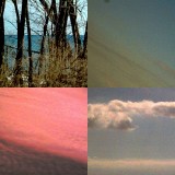 collage136.jpg