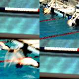 collage146.jpg