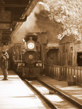 Disney Railroad MK