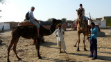 Excursion dans le desert