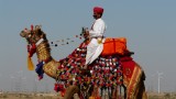 Concours de Dcoration de chameau