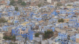 Jodhpur, la ville bleue