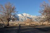Manzanar, Looking West