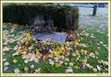 P1000301cs.jpg