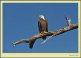 D3A_4630fs.jpg