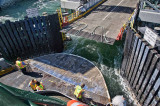 Approaching ferry dock at Bainbridge Island