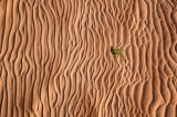 Ripples in the water and lake bed