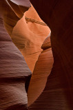 Log in Lower Antelope Canyon