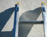 Aug 11: Ladder