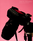 Mar 7: Lindas camera