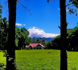  Bann Farang back view 