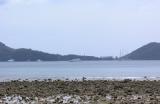 Boats in Patong Bay