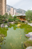 Japanese garden
