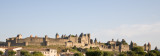 The city from a distance