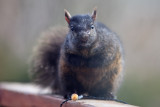 You looking at me?