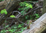 20090519-_MG_1342.jpg
