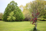 20090519-_MG_1429.jpg