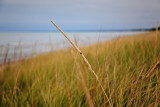 Ipperwash