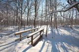 Oakville Wood Bridge.jpg