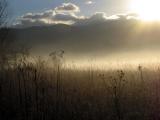 IMG_5668cropeditir2.jpg