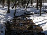 IMG_7386cropeditir.jpg