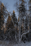 DSC_1398.jpg