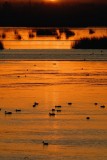 DSC_7746.jpg