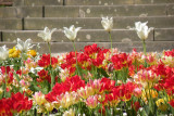 Baden-Baden in Spring