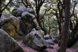 Castle Rock