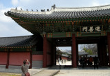 Changdok Palace Detail